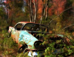 Auto Insurance Quotes